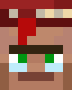 Librarian villager